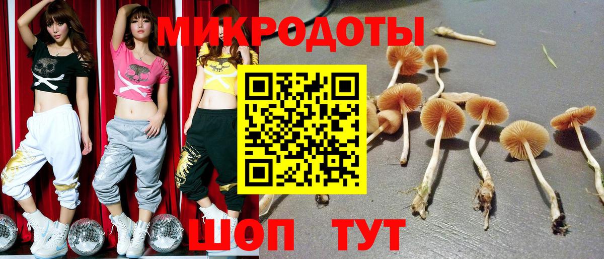 Галлюциногенные грибы мухоморы Клин