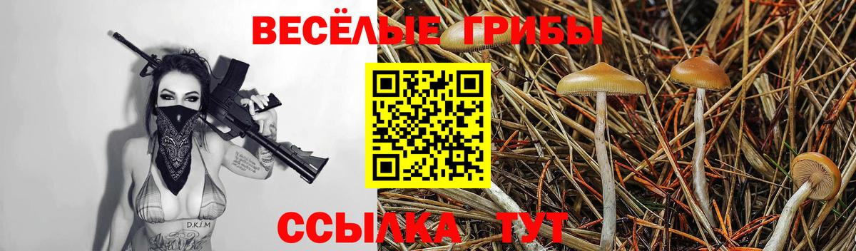 Галлюциногенные грибы MAGIC MUSHROOMS  Вход с VPN  Клин 